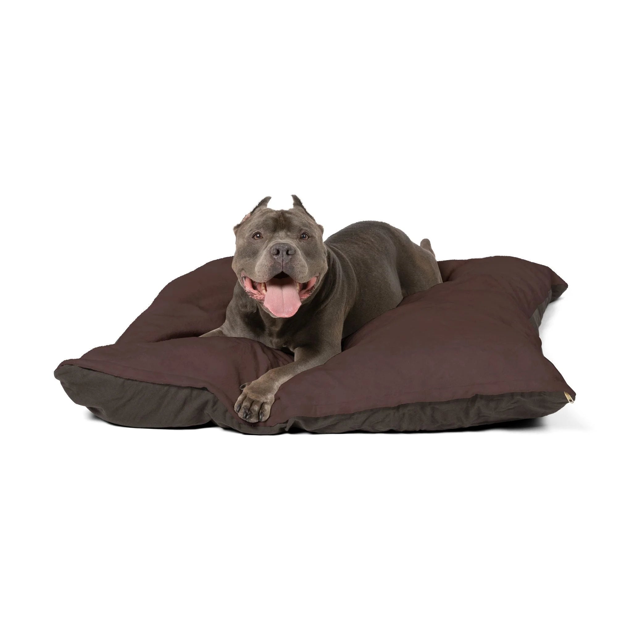 Buy The Best By Artsulli x Color Printify - Pet Bed - 2025