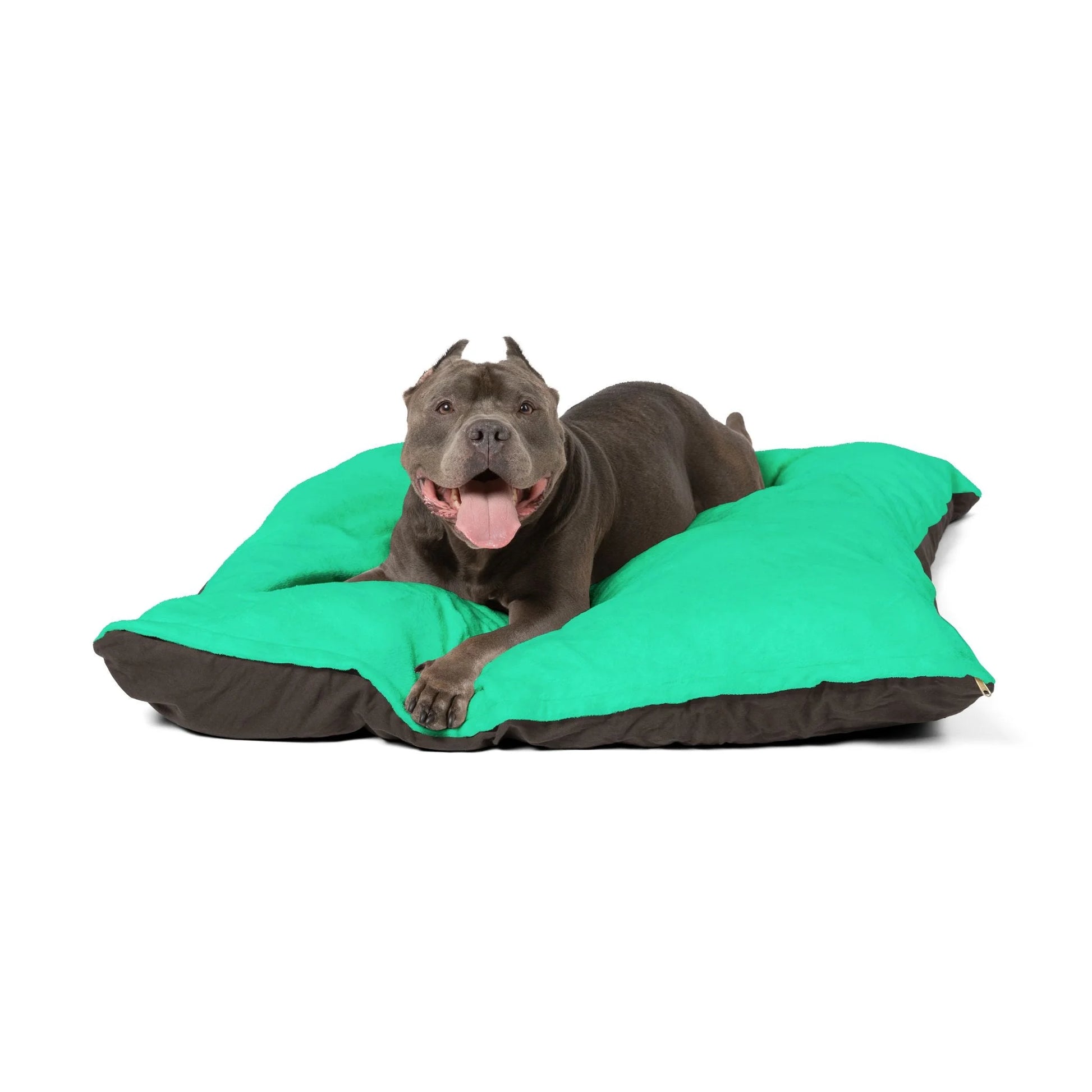 Buy The Best By Artsulli x Color Printify - Pet Bed - 2025