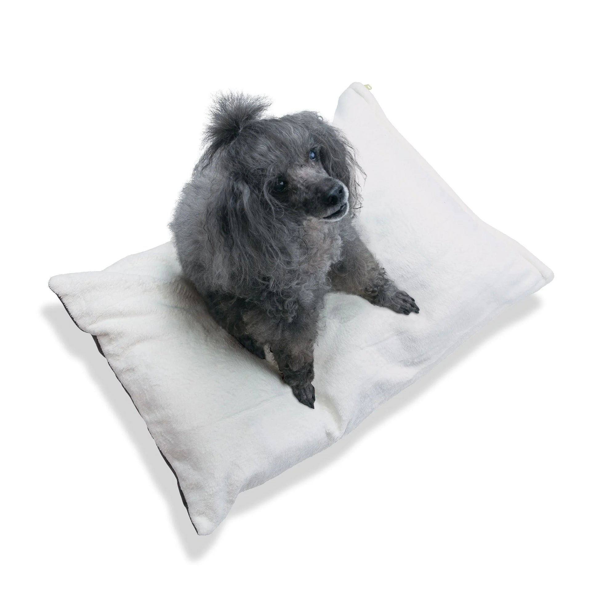 Buy The Best By Artsulli x Color Printify - Pet Bed - 2025