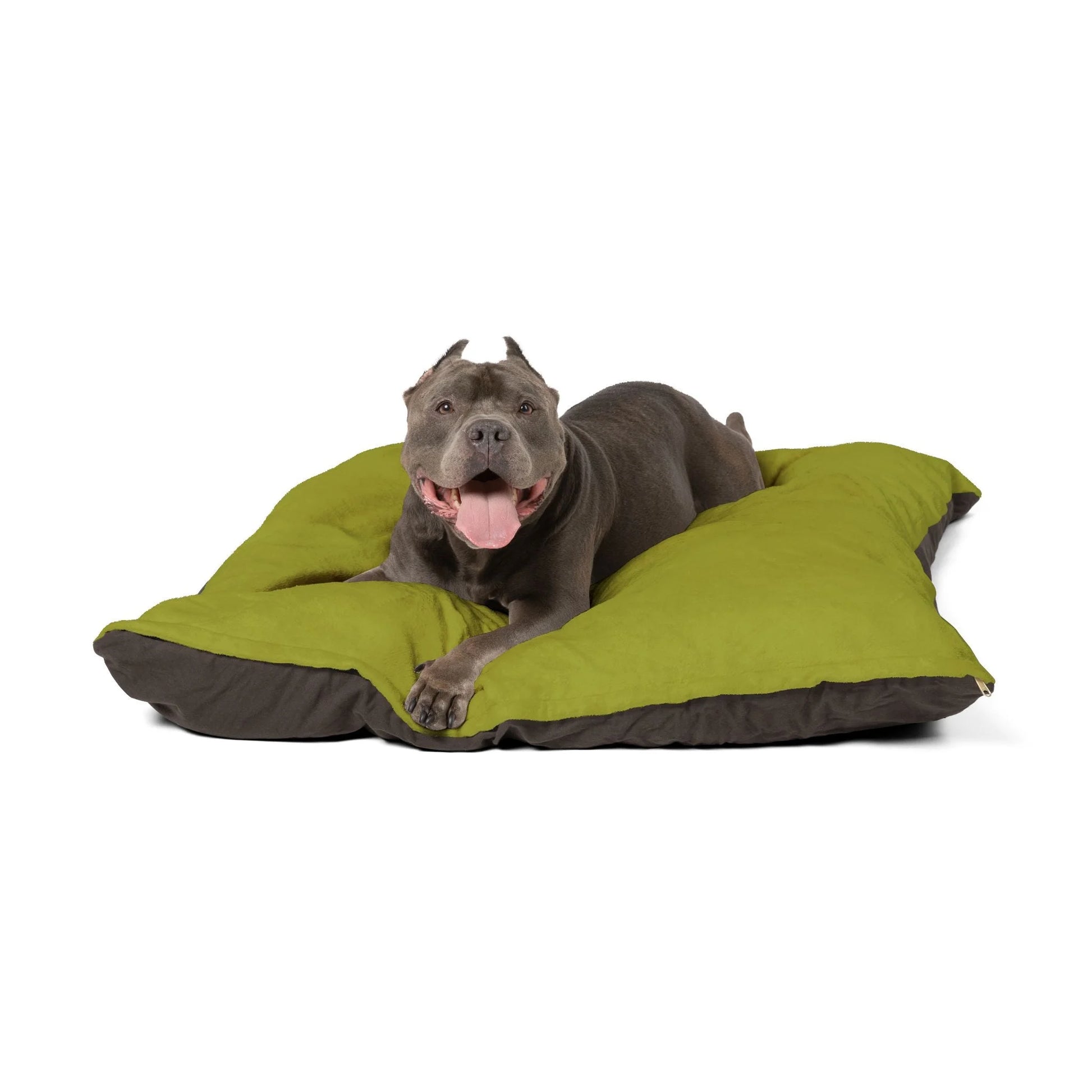 Buy The Best By Artsulli x Color Printify - Pet Bed - 2025