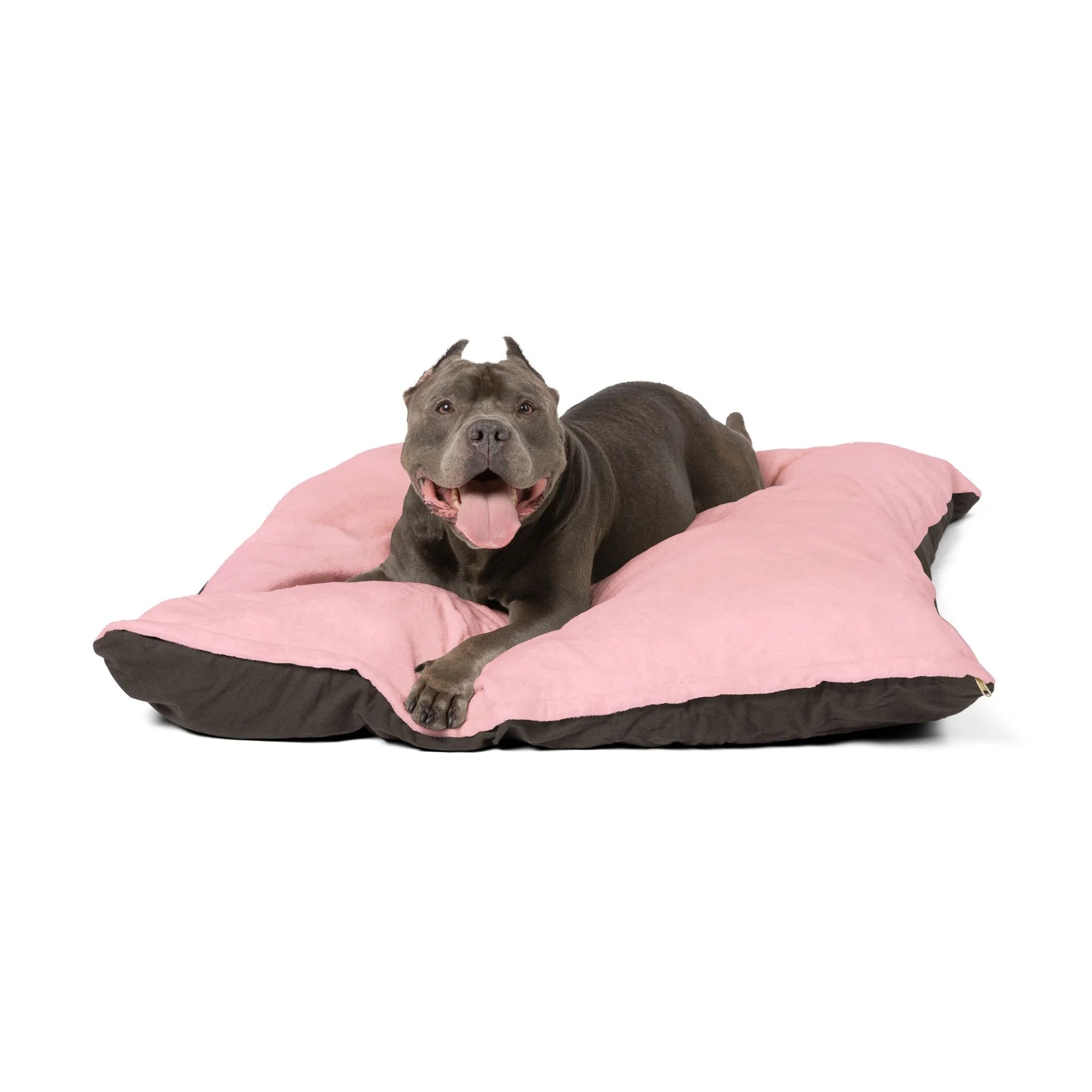 Buy The Best By Artsulli x Color Printify - Pet Bed - 2025