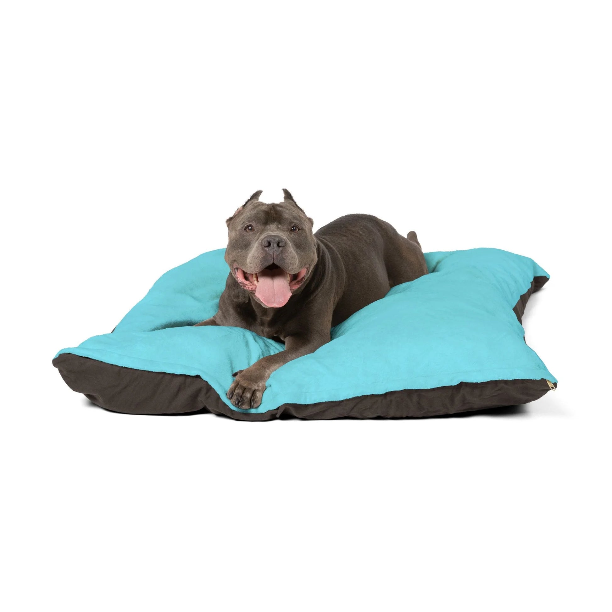 Buy The Best By Artsulli x Color Printify - Pet Bed - 2025