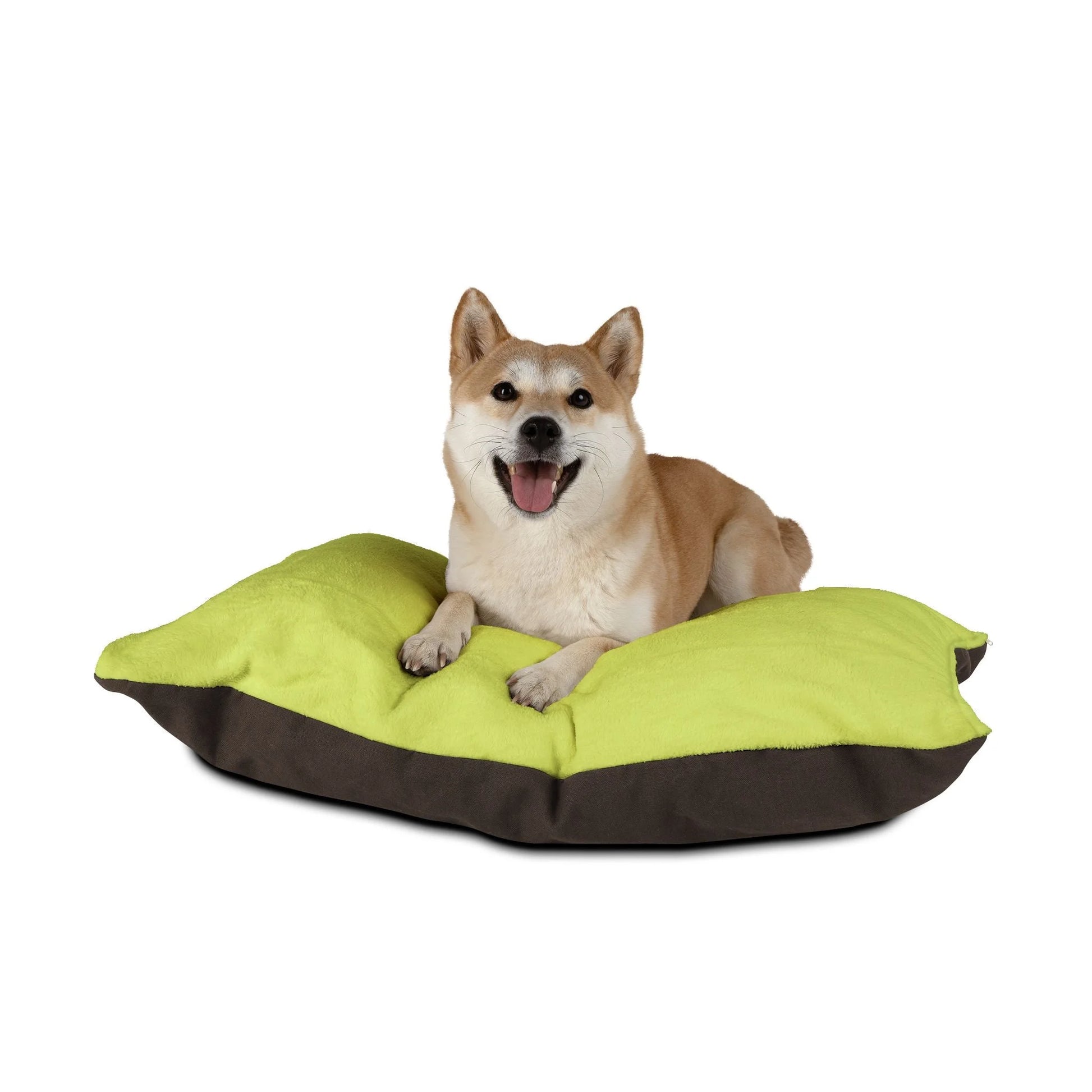Buy The Best By Artsulli x Color Printify - Pet Bed - 2025