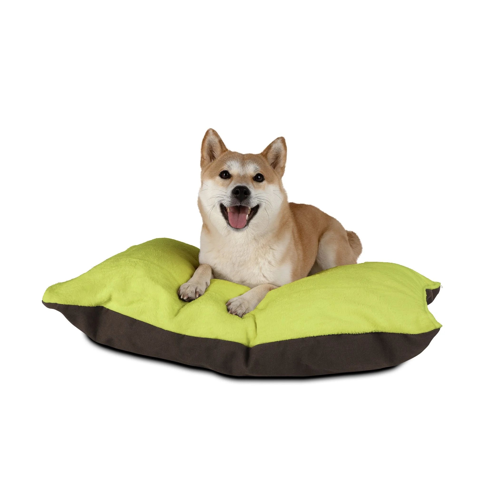 Buy The Best By Artsulli x Color Printify - Pet Bed - 2025