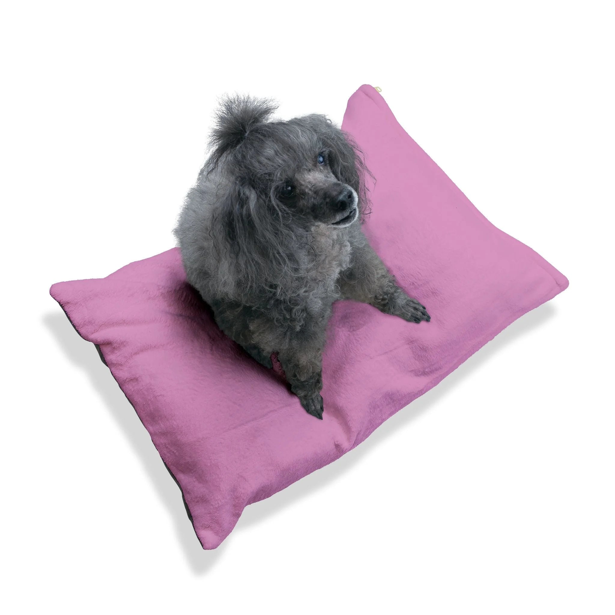 Buy The Best By Artsulli x Color Printify - Pet Bed - 2025