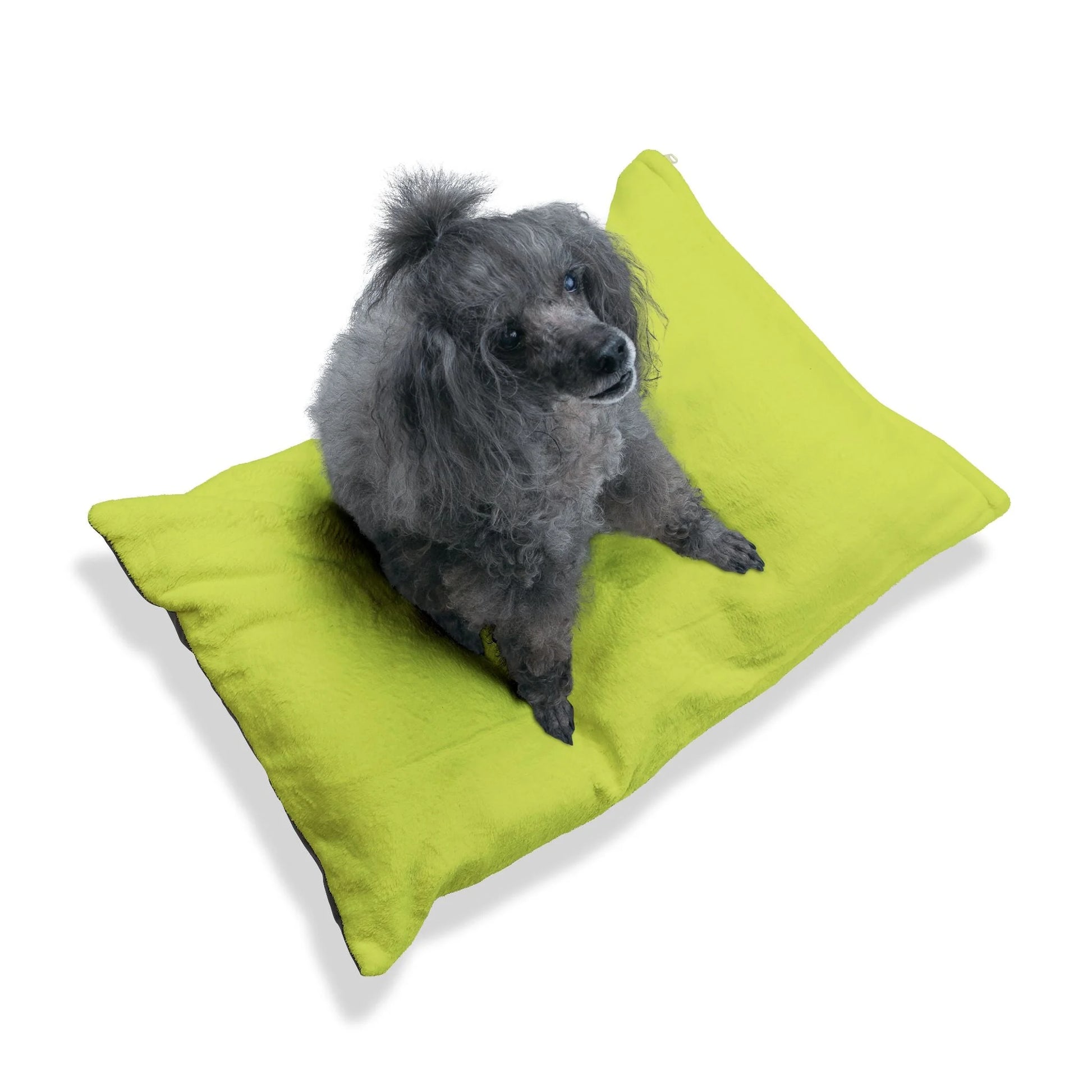 Buy The Best By Artsulli x Color Printify - Pet Bed - 2025