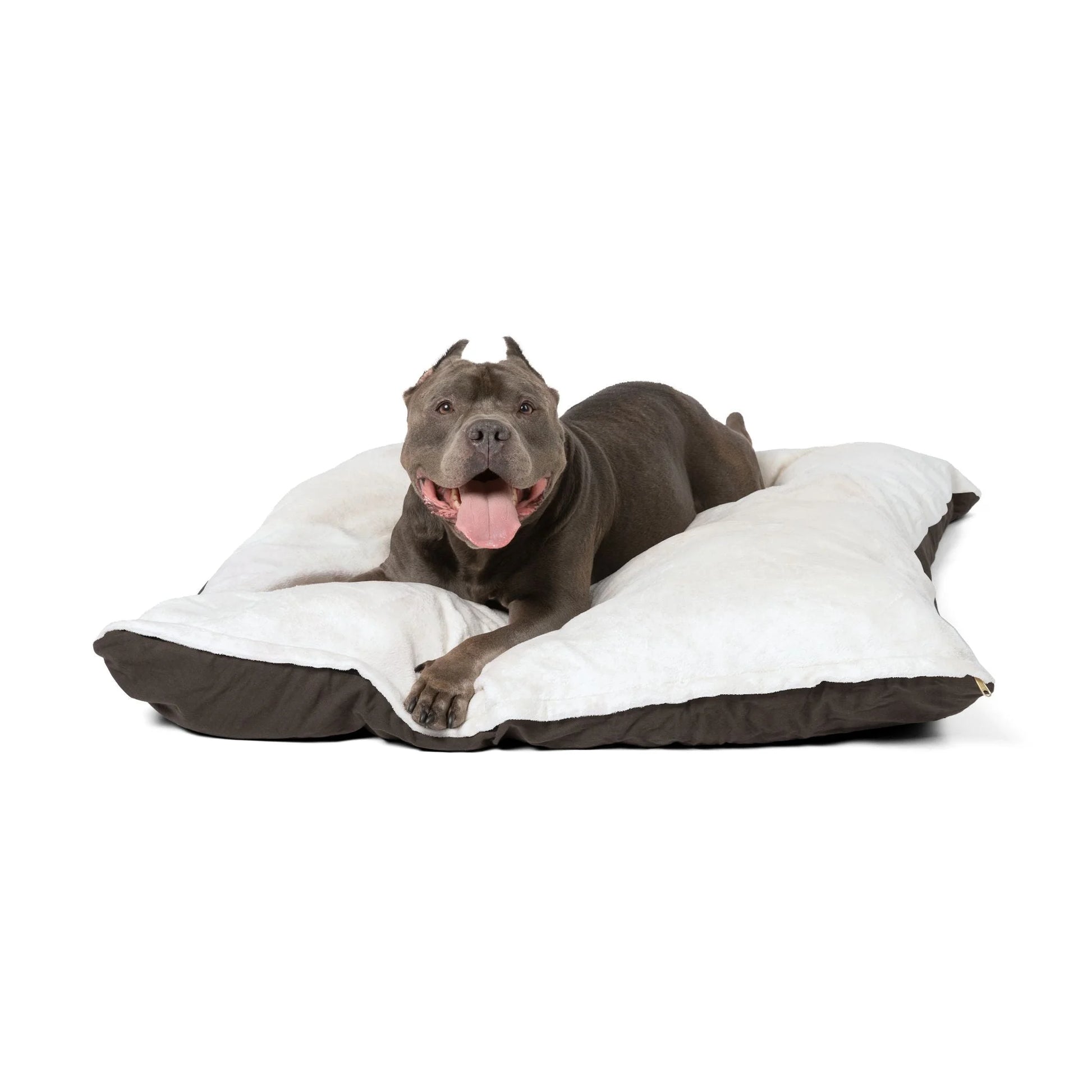 Buy The Best By Artsulli x Color Printify - Pet Bed - 2025