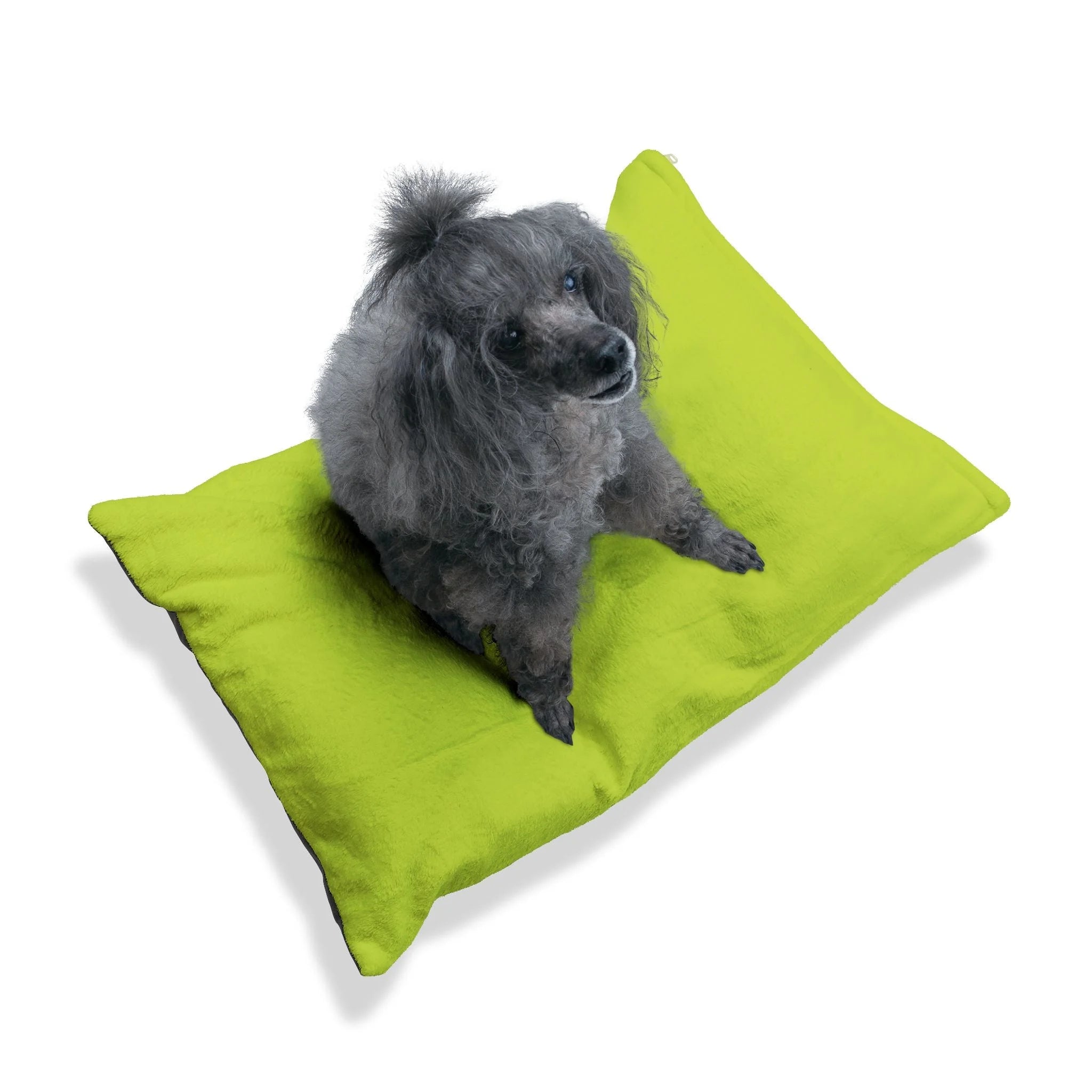 Buy The Best By Artsulli x Color Printify - Pet Bed - 2025