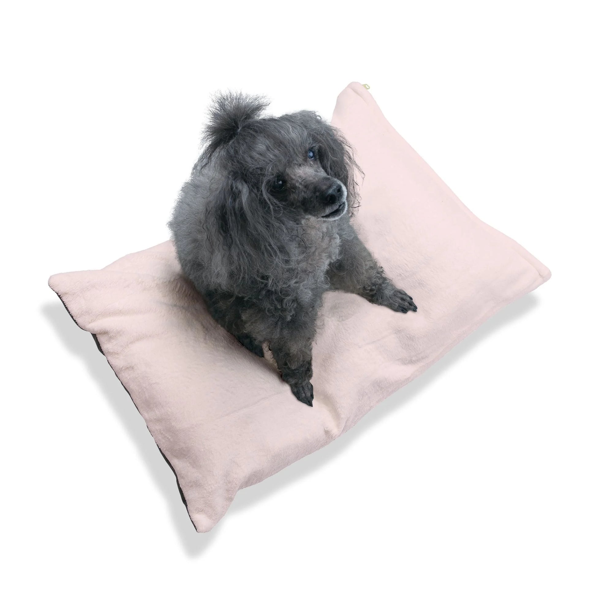 Buy The Best By Artsulli x Color Printify - Pet Bed - 2025