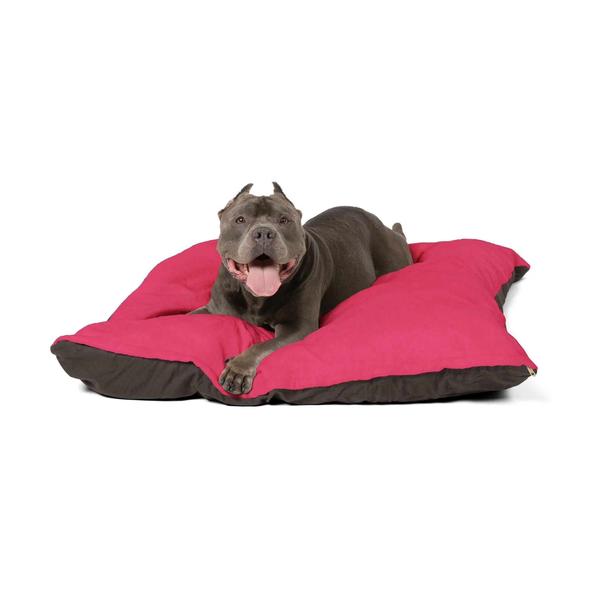 Buy The Best By Artsulli x Color Printify - Pet Bed - 2025