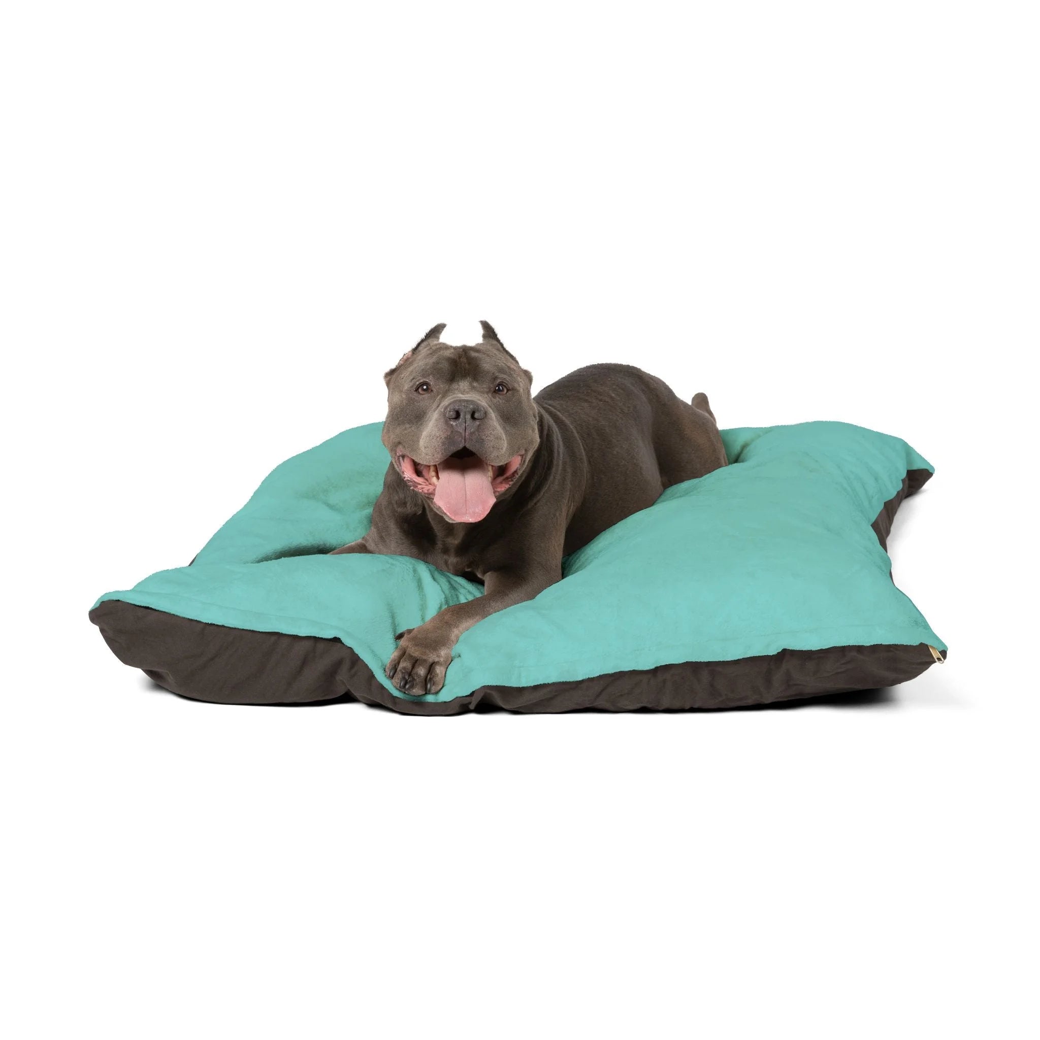 Buy The Best By Artsulli x Color Printify - Pet Bed - 2025