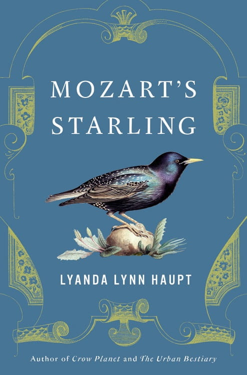 Der Vogelfanger mit eine Starling Musical Ornithology from Lyanda Lynn Haupt