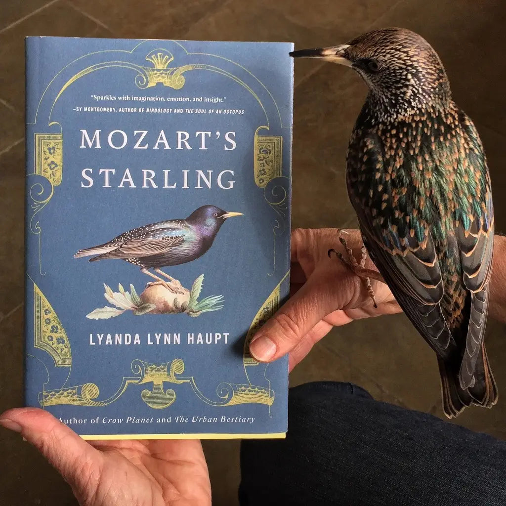 Der Vogelfanger mit eine Starling Musical Ornithology from Lyanda Lynn Haupt