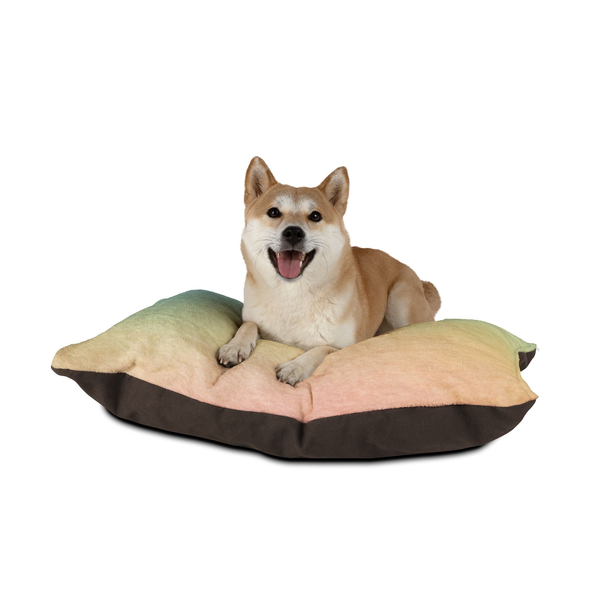 Printify Ombre Rainbow Pet Bed with Dog Toys 2025