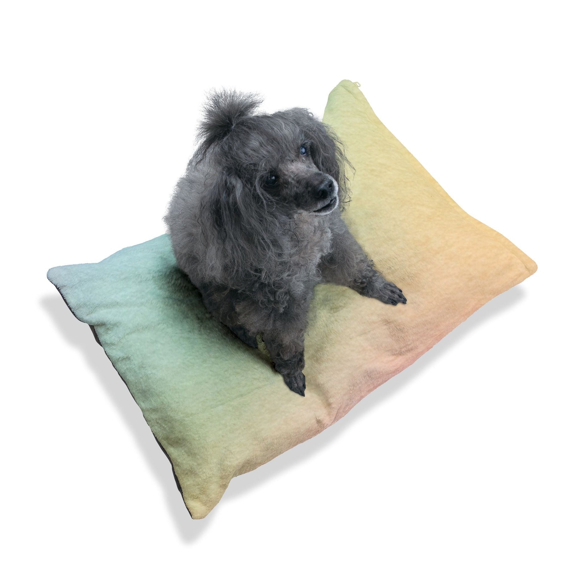 Printify Ombre Rainbow Pet Bed with Dog Toys 2025