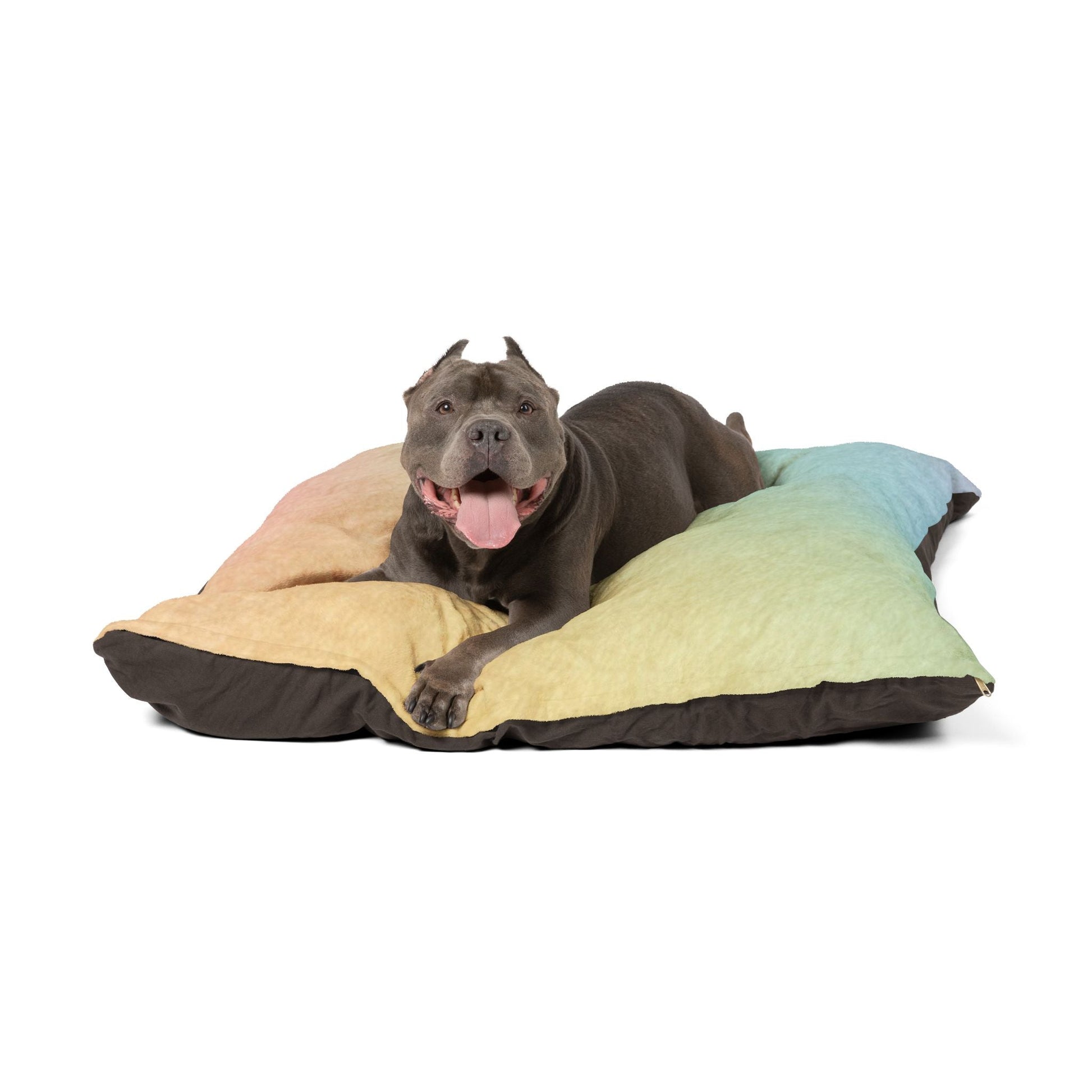 Printify Ombre Rainbow Pet Bed with Dog Toys 2025