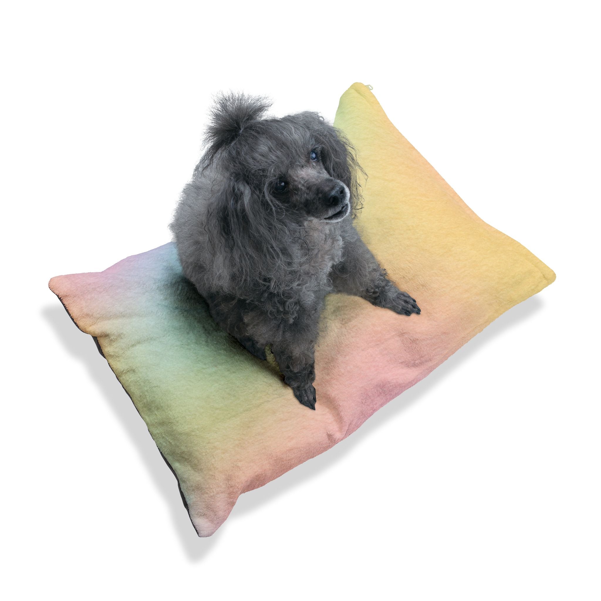 Printify Pastel Rainbow Pet Bed 2025