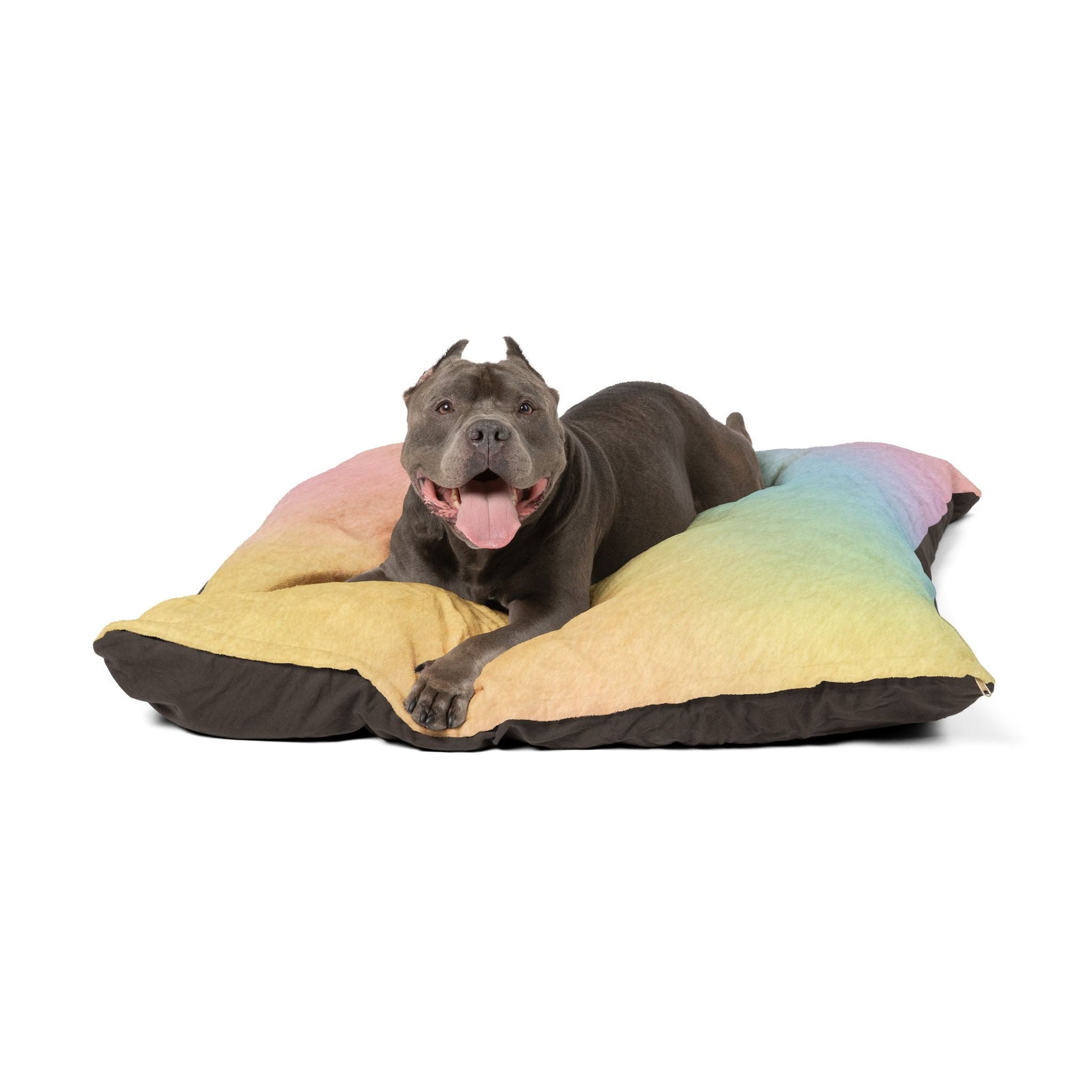 Printify Pastel Rainbow Pet Bed 2025