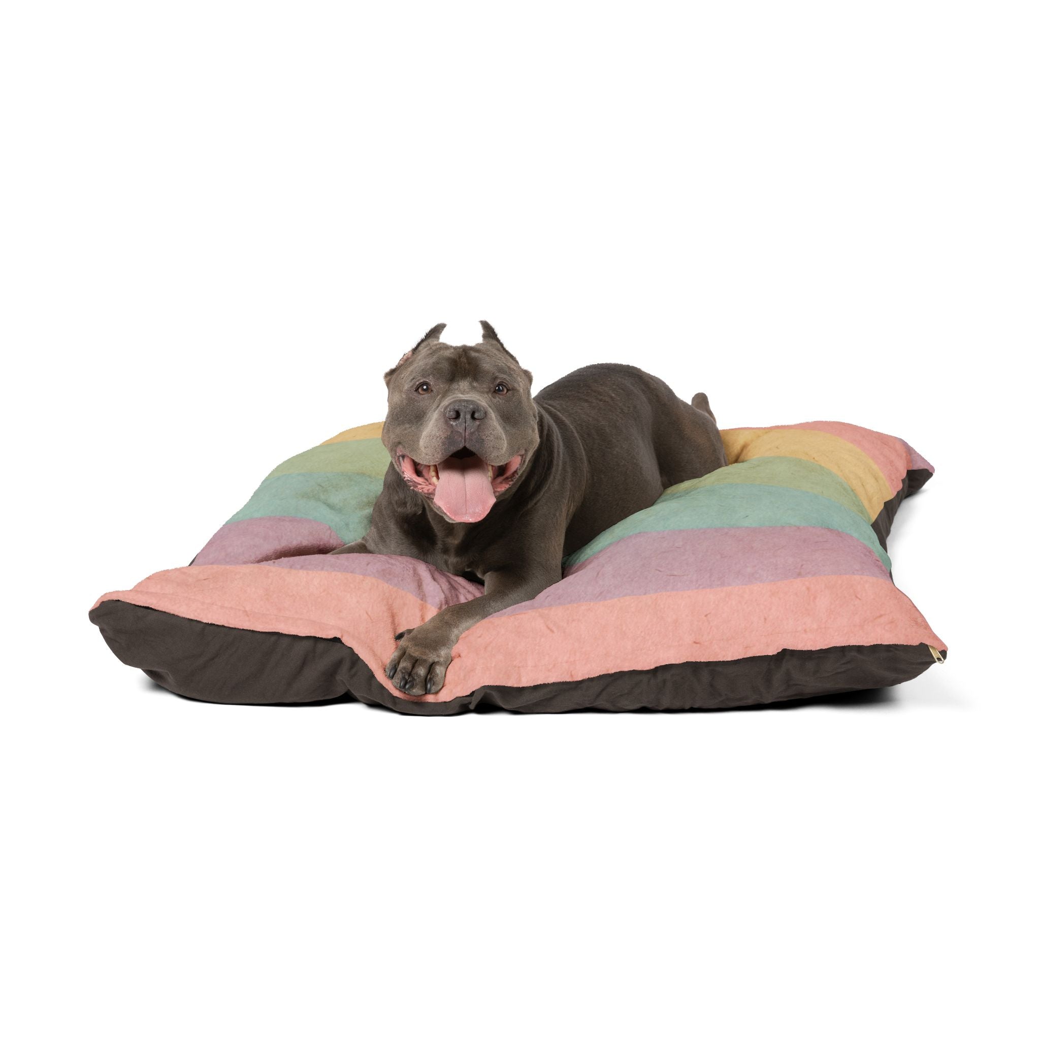 Printify Pastel Rainbow Stripe Pet Bed 2025