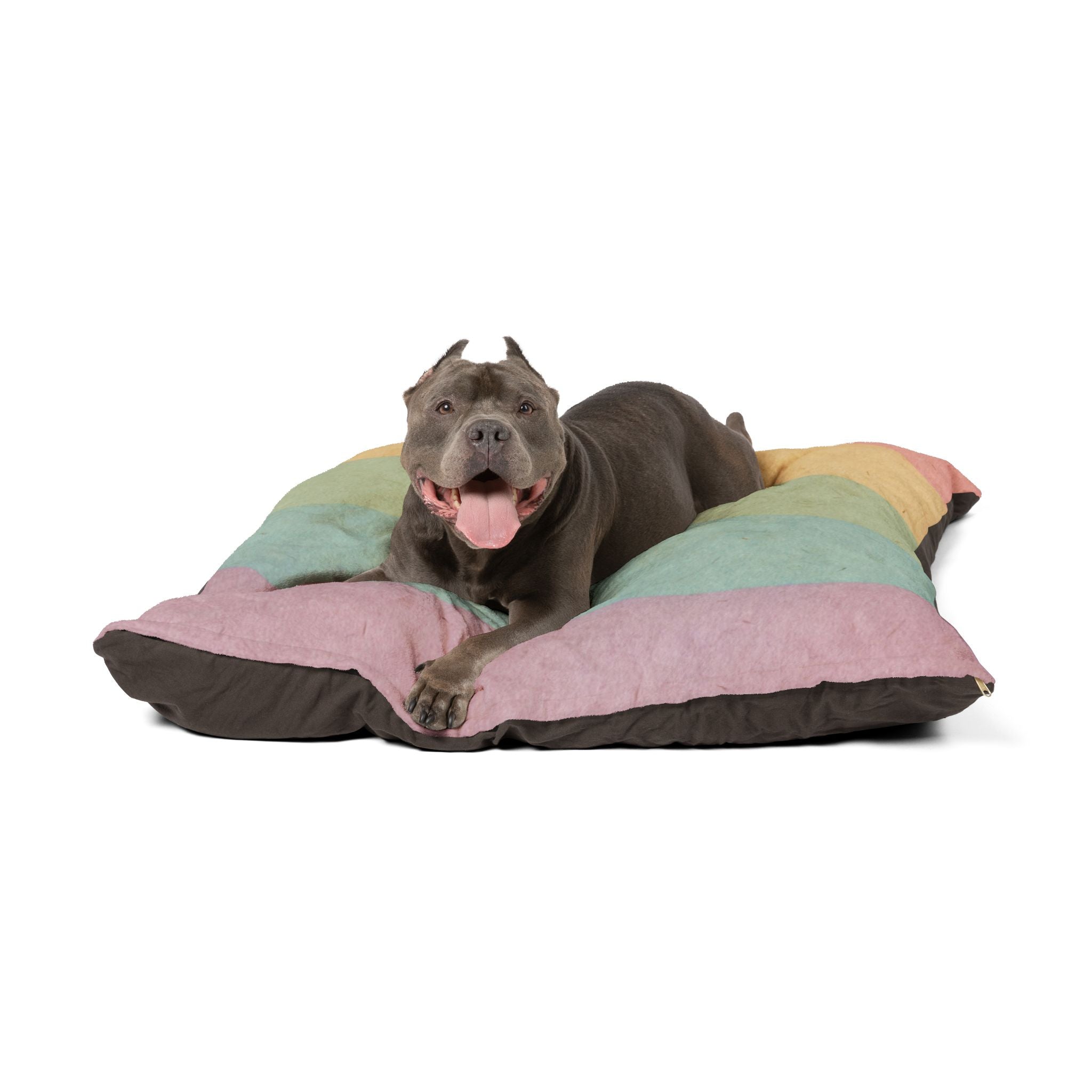 Printify Pastel Rainbow Stripe Pet Bed with Toys 2025