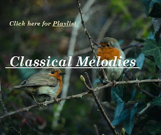 🌌 Classical Melodies 🌌