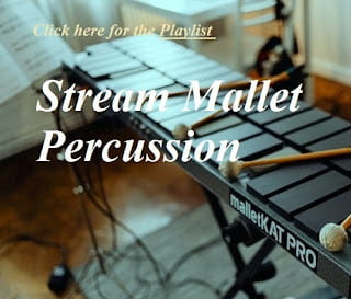 🎼 Stream Mallet Percussion 🎼